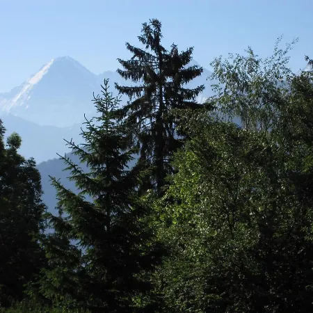 Bluemlisalp 712 Studio Appartement