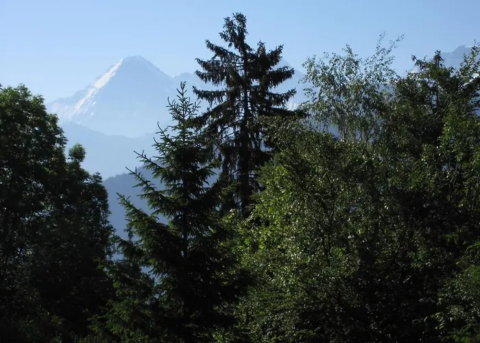 Blueemlisalp 712 Lejlighed